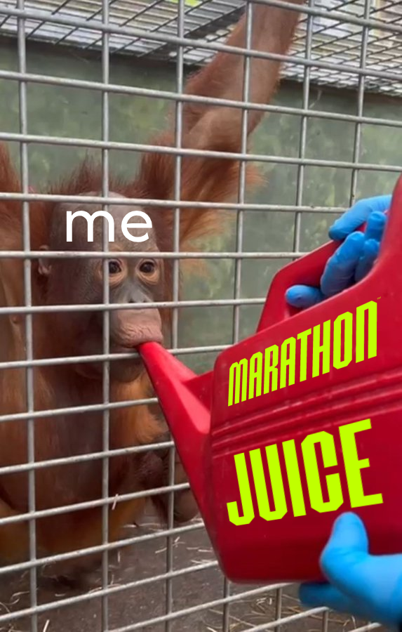 Loafy 🍞 tweet media