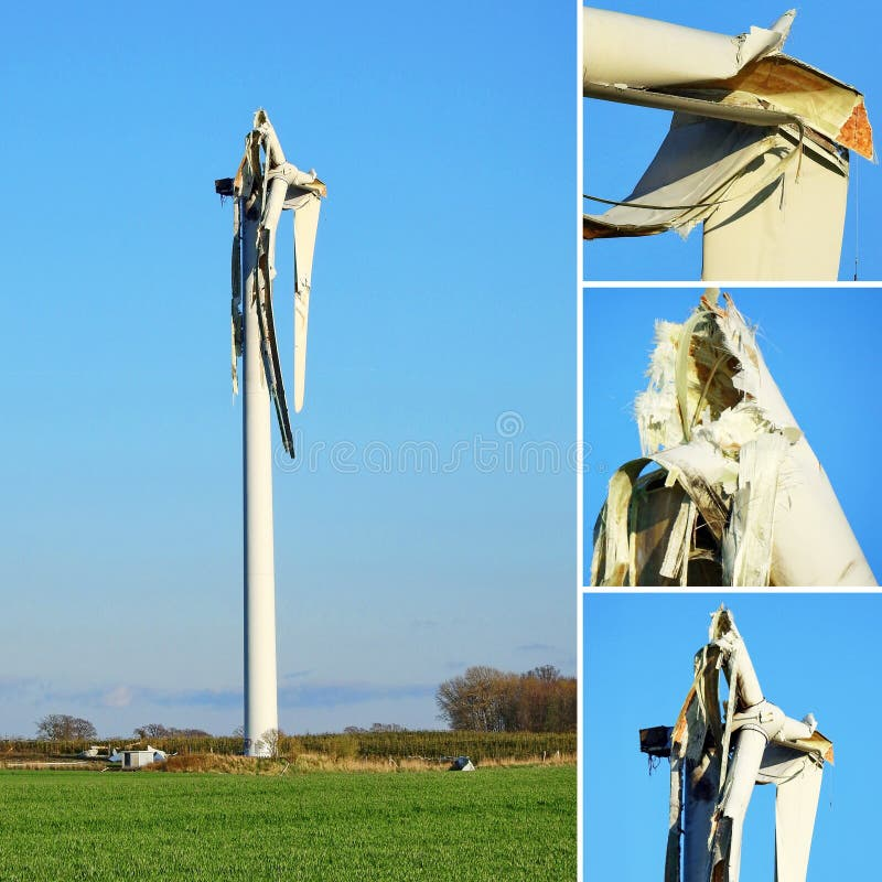 Rooster Cogburn tweet media