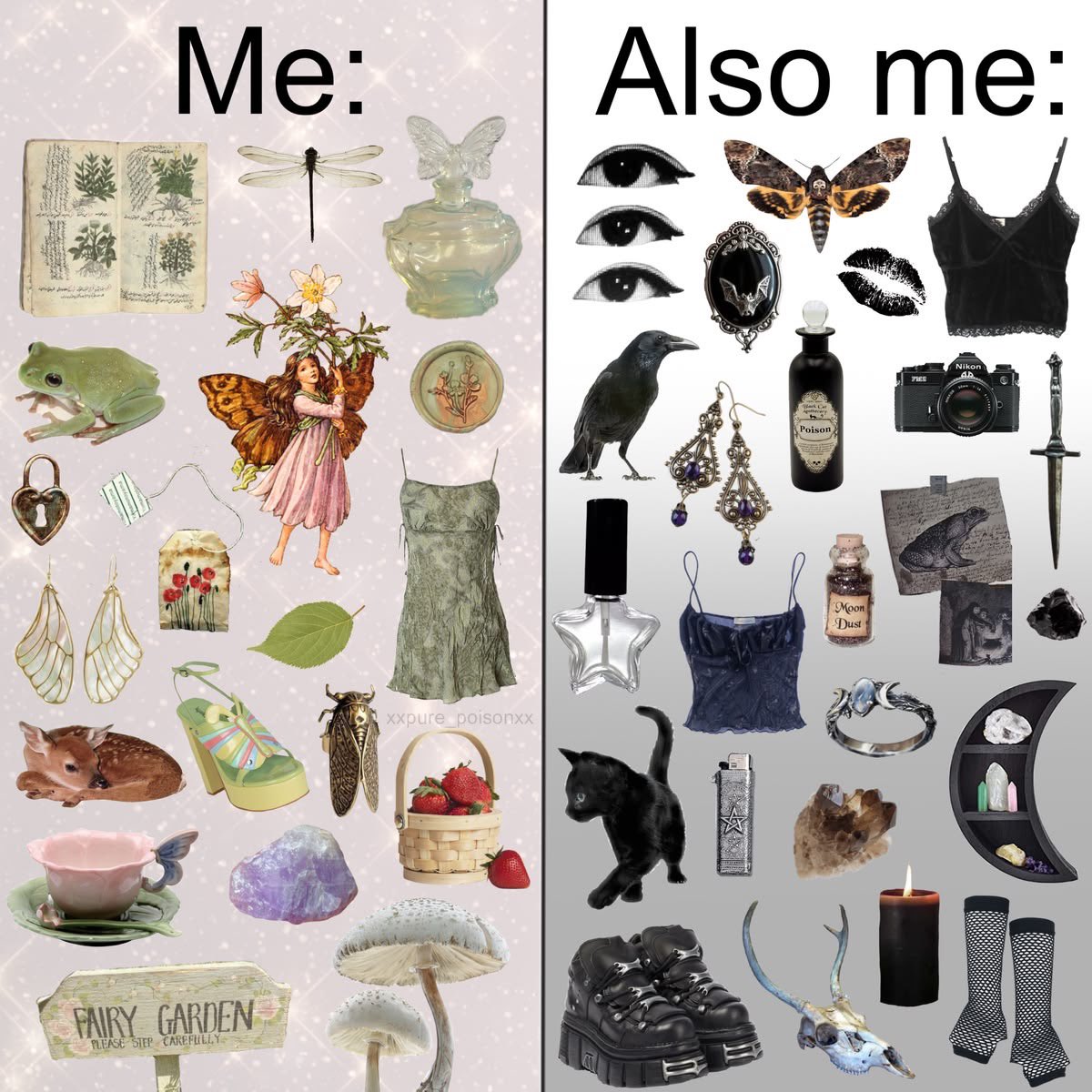 𝑙𝑖𝑡𝑡𝑙𝑒 𝑚𝑜𝑜𝑛 ⏾ tweet media