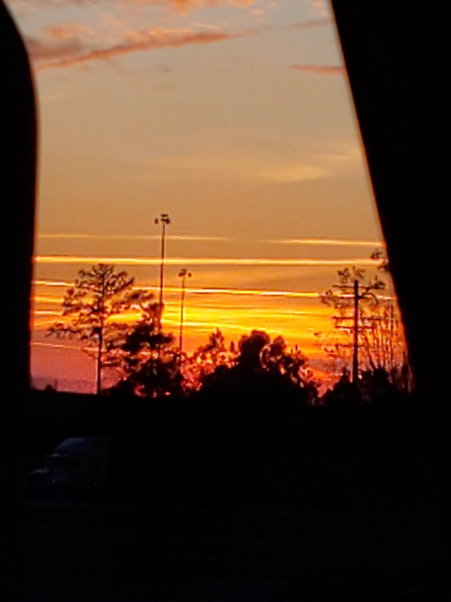 💥 Dan P.💥 🇺🇸 🙏 The Truth will prevail tweet media