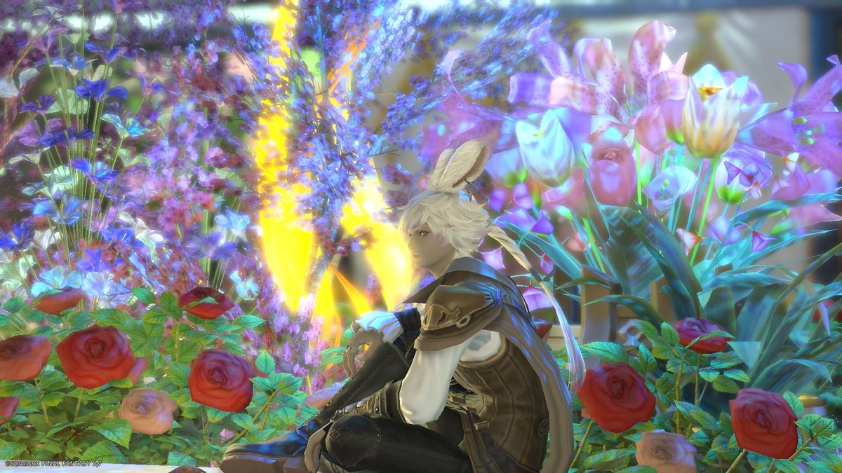 NyannyanTuyako's tweet image. #OffStream