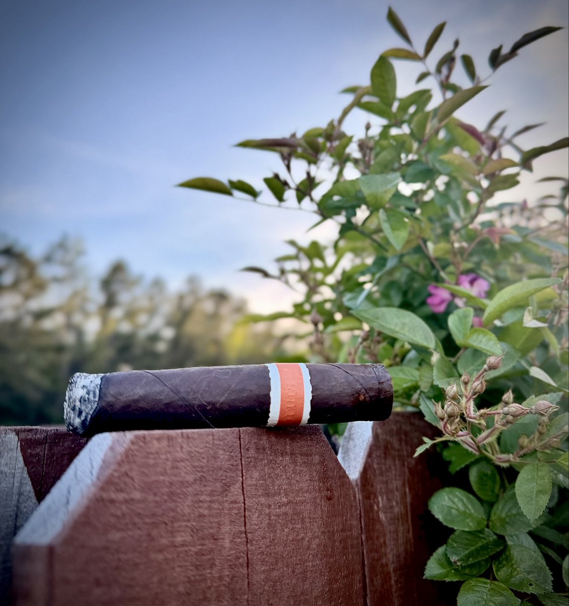 Jayce Murry, CFP®, ChFC®, CEPA®, AAMS® tweet media