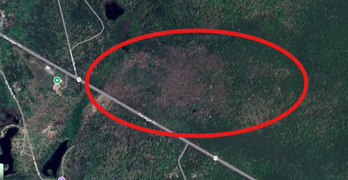 Ethan Kerr tweet media