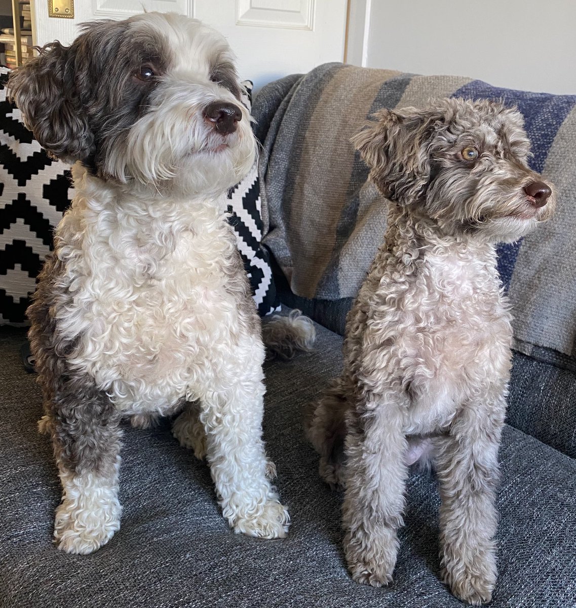 BeMoreBob tweet media