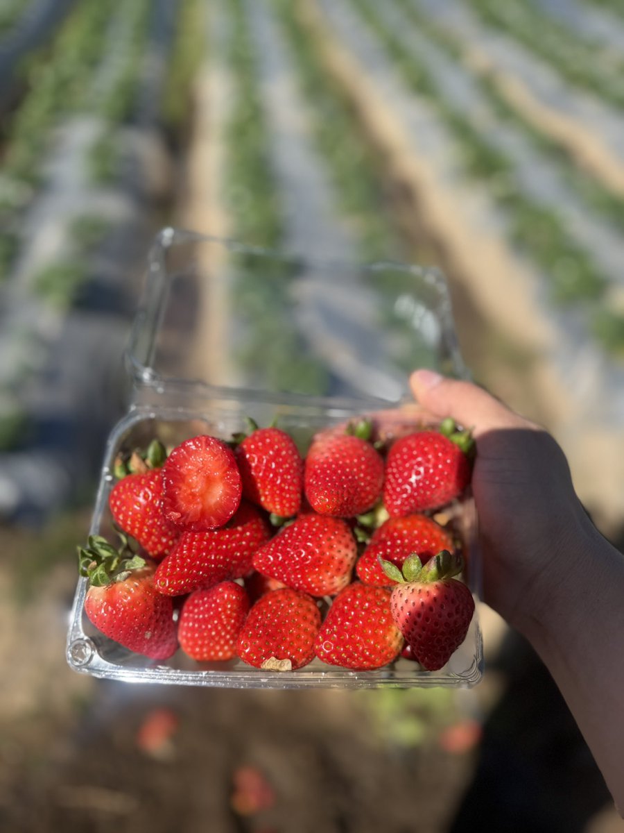 RawQuantum tweet media