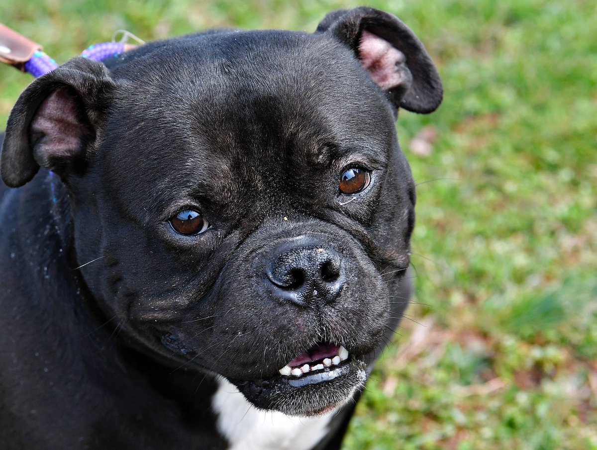 Dawn J. Sagert tweet media