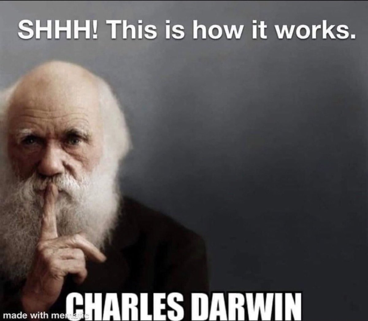 Cane1984 tweet media