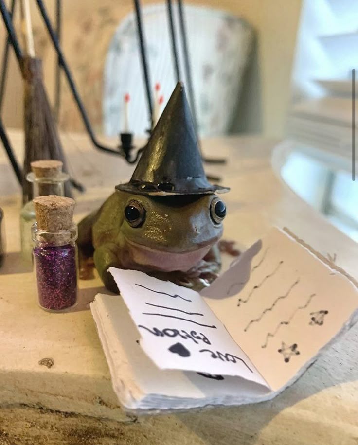 slothnapking's tweet photo. “Is this really a frog… or a tiny wizard secretly learning spells?” 🧙‍♂️🐸...
....
...
#frog #froglove #frogsofinstagram #froglife #frogs https://t.co/ZXq10vAp7a