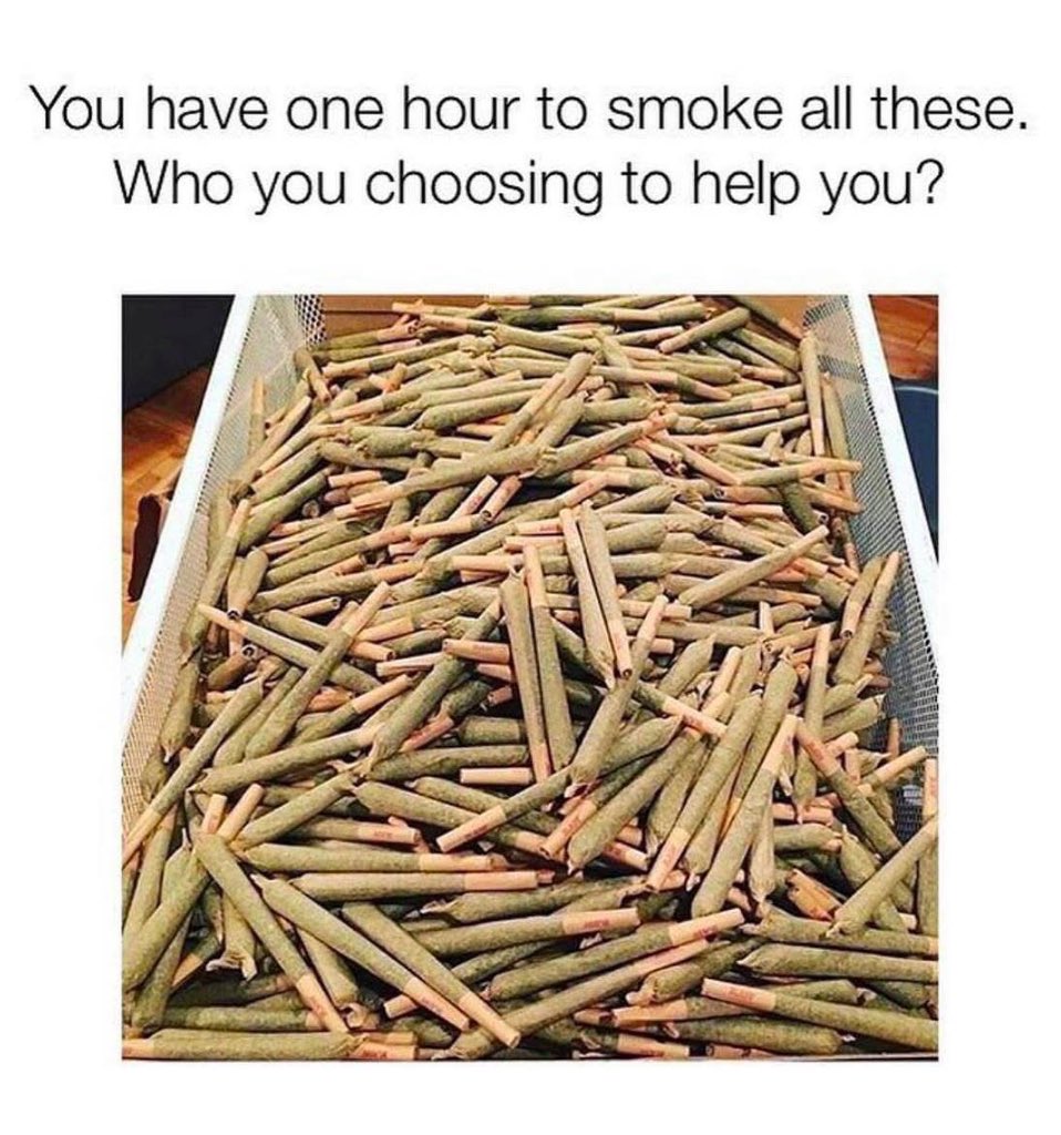 elmer_budd420's tweet image. Who are you calling for help?