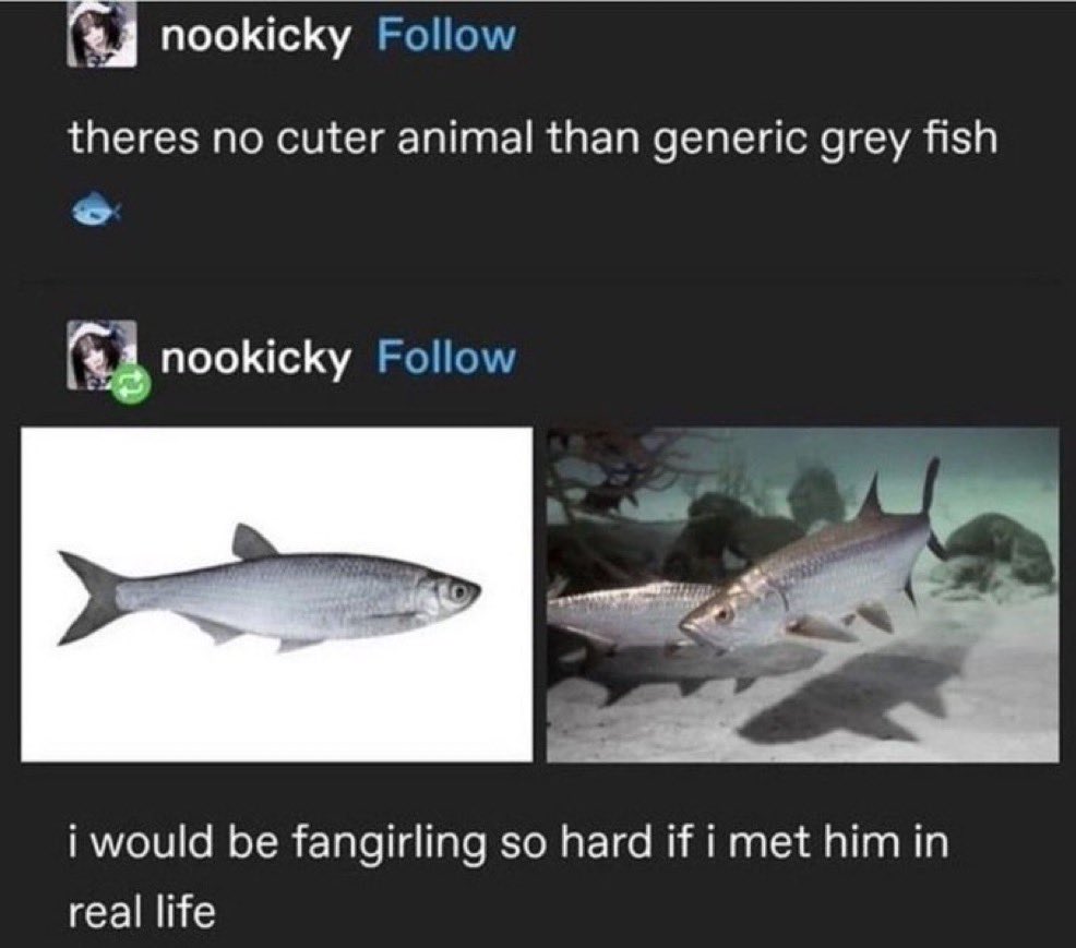 eva 🍏 tweet media