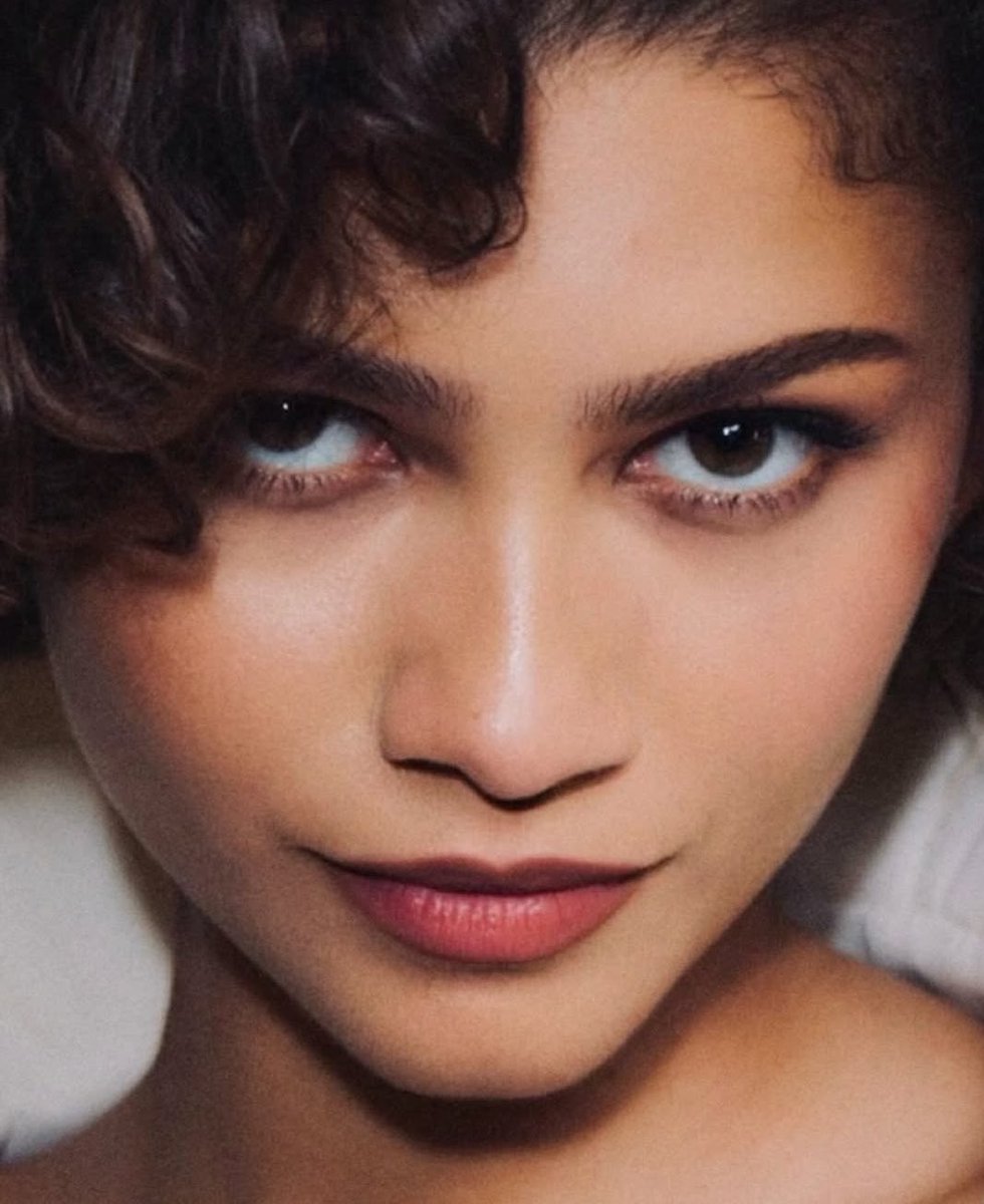 Zendaya Updates tweet media