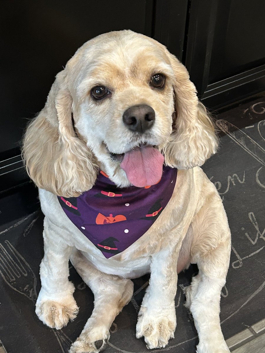 Jeff Peterson tweet media