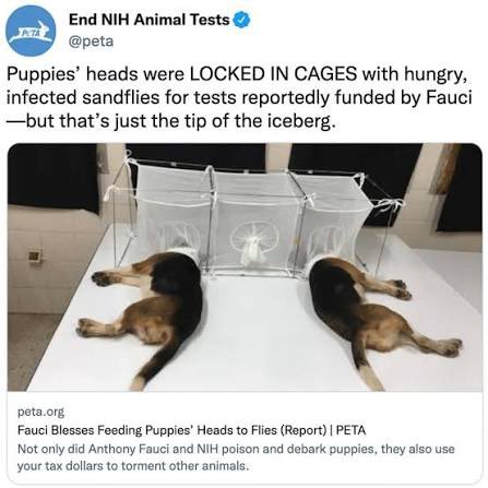 Red Pill Broadcast tweet media