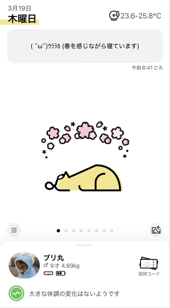 Catlog（キャトログ） tweet media