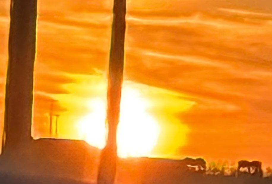 a meta story tweet media