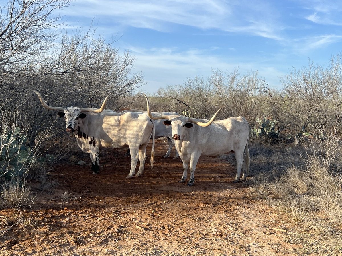 Fishmaster23 tweet media