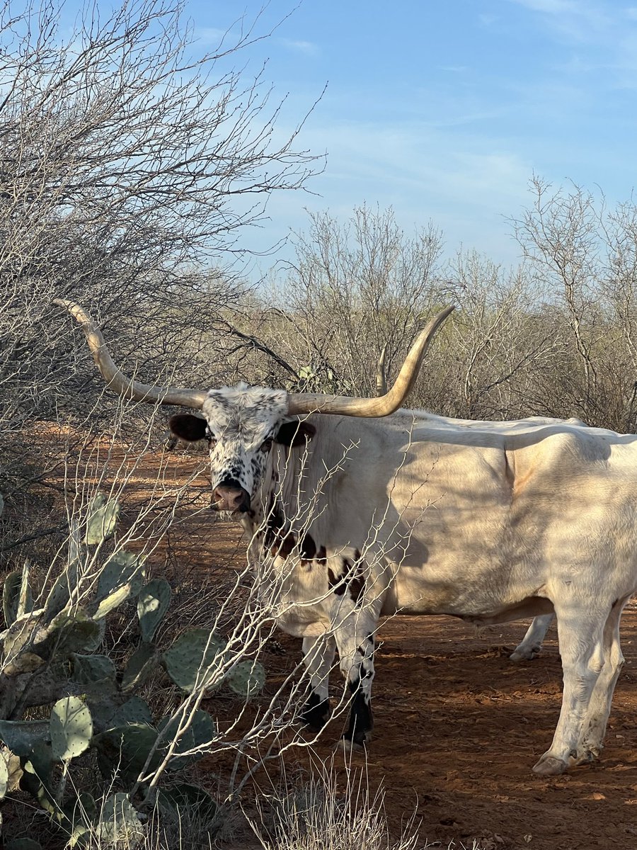 Fishmaster23 tweet media