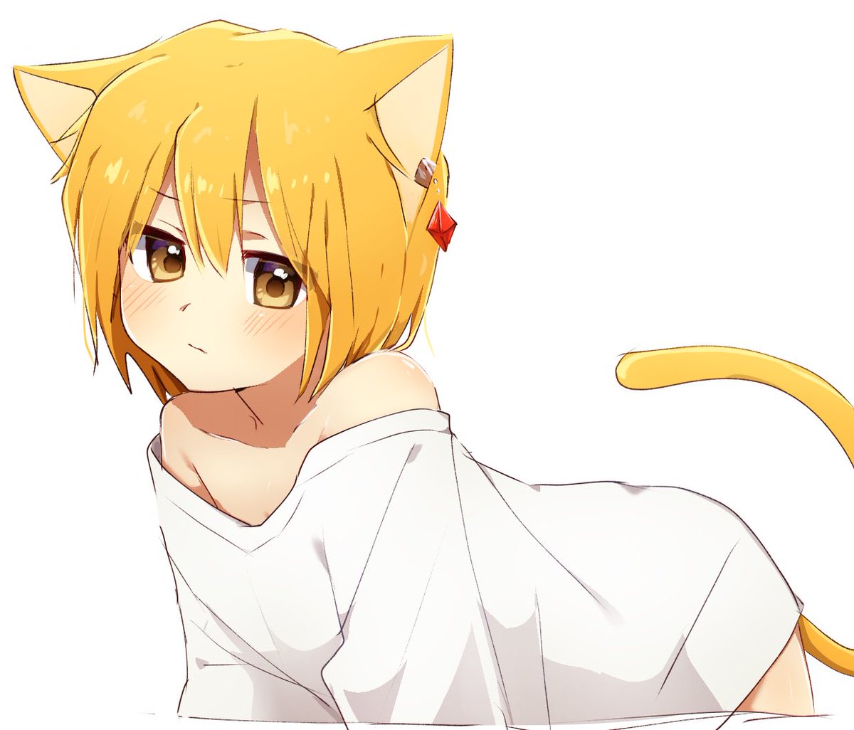 kuramapik's tweet photo. ねこぴか https://t.co/Bc9ByeI1i7