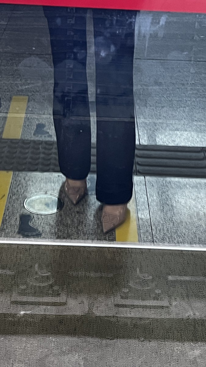 Livia🌸 tweet media