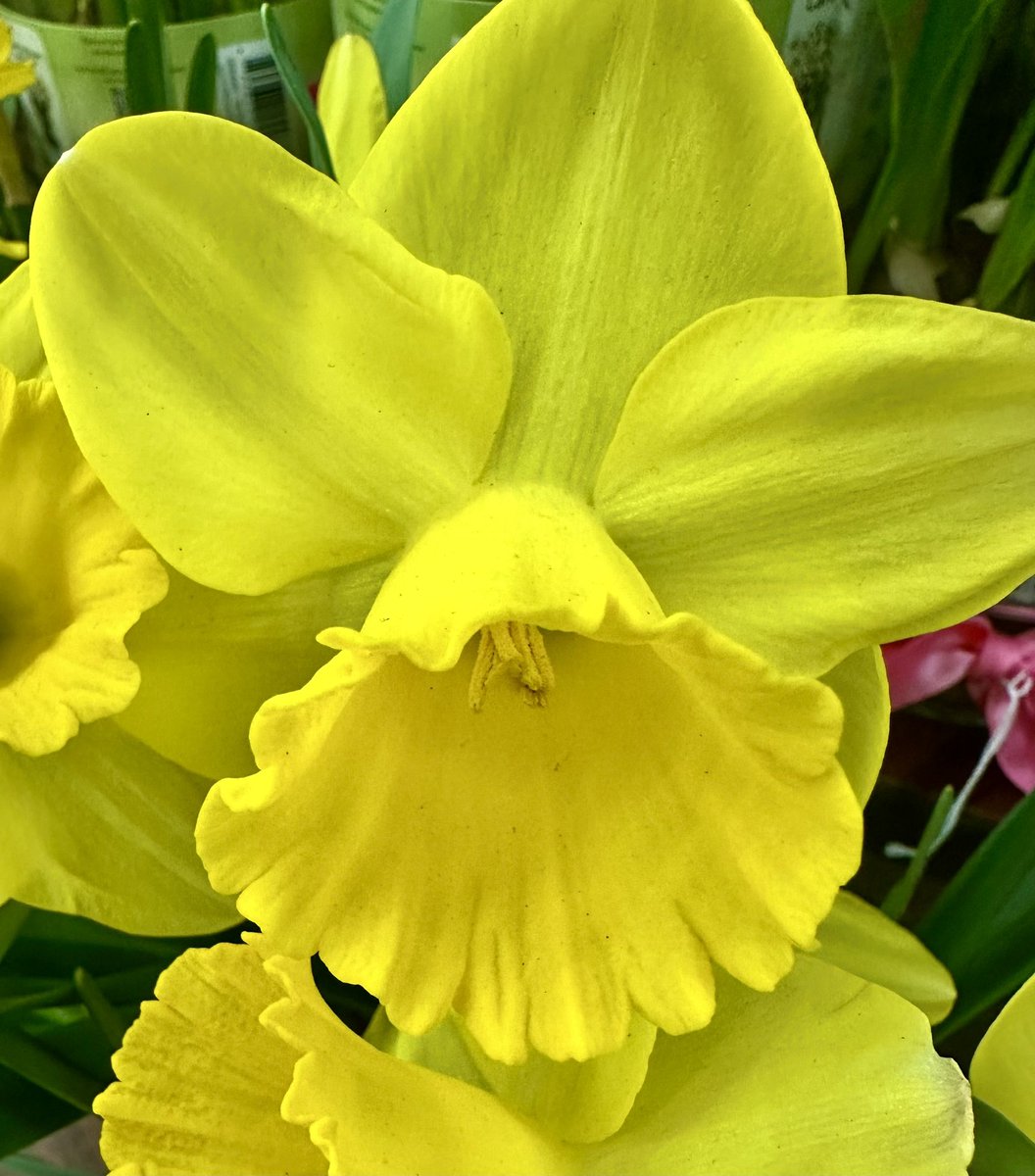 Michael Frye tweet media