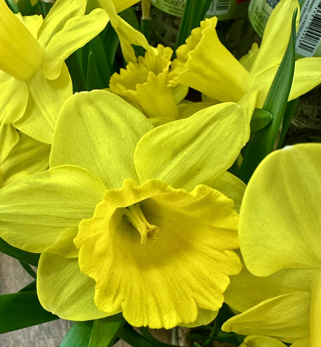 Michael Frye tweet media