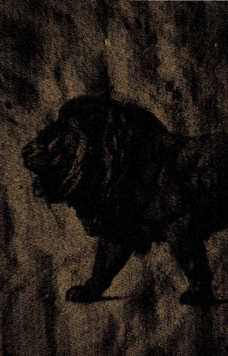 ꜰᴇᴅᴇʀɪᴄᴋ, tweet media