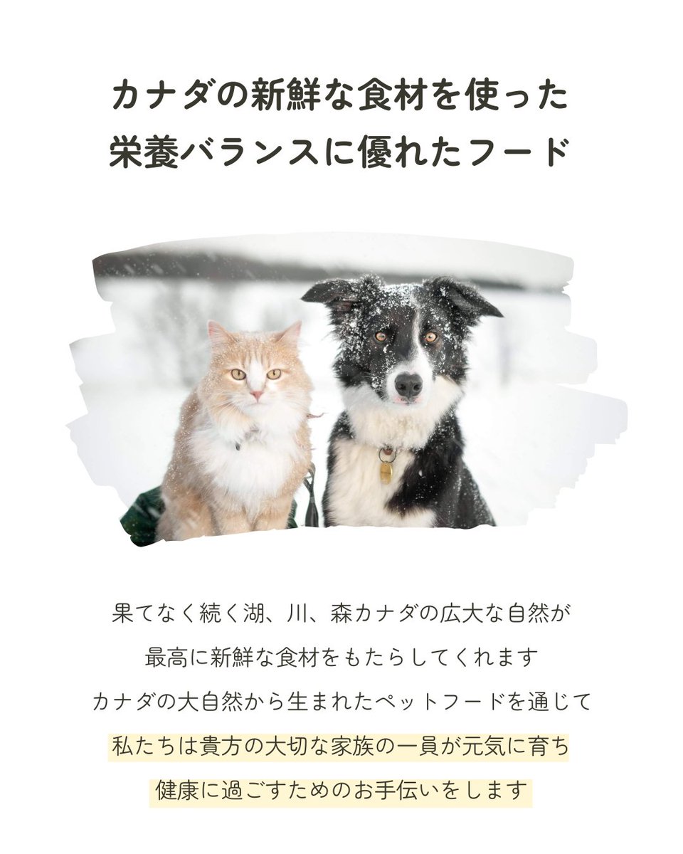 nutrience_jp's tweet photo. 大切な家族の犬と猫に、安心できるごはんを。

カナダの大自然から生まれたペットフード
「ニュートリエンス」

身体をつくるものだから、ちゃんと選びたい。
そんな想いに応えるごはんです。

サブゼロ／グレインフリー／インフュージョン
体質やライフスタイルに合わせて選べます。 https://t.co/7nFbnchd8t