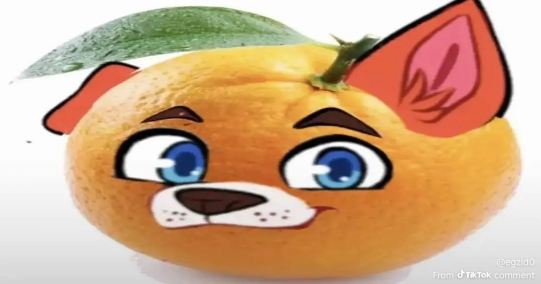 Orange Rofi tweet media