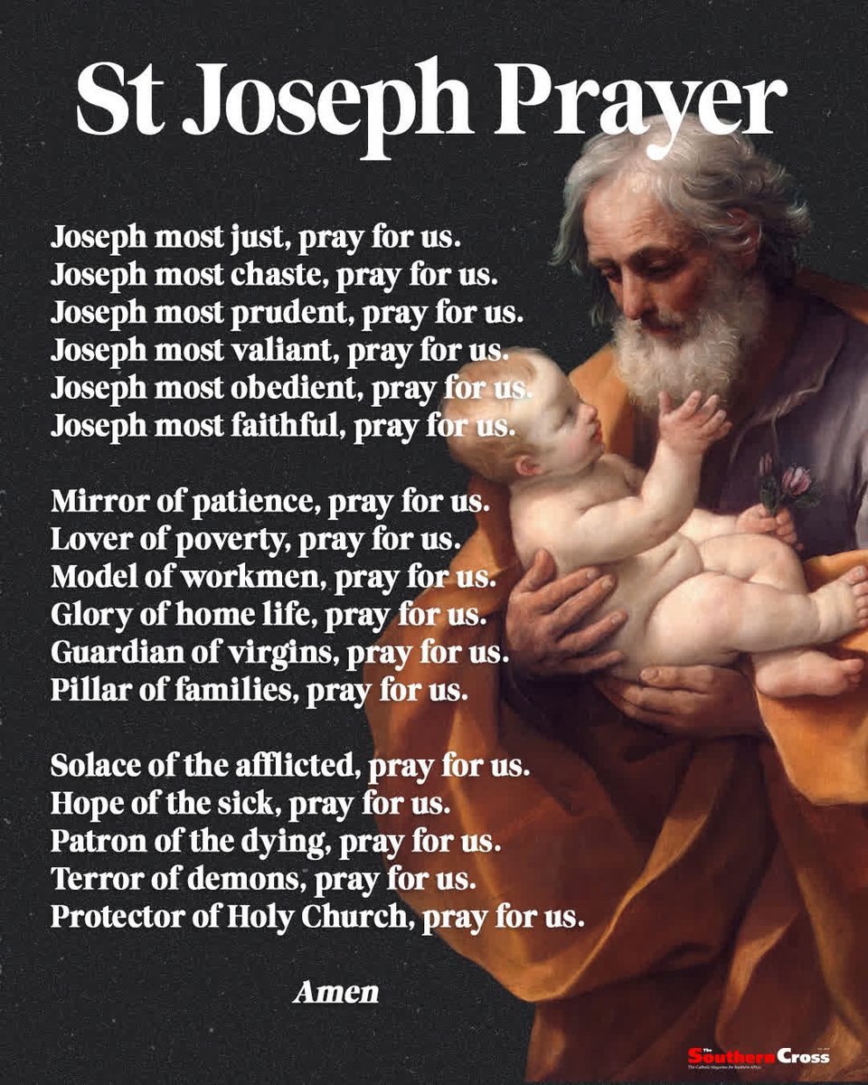 The Southern Cross  tweet media