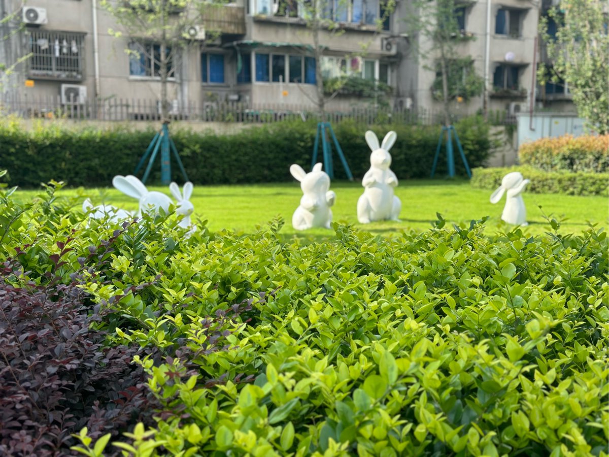 roberto rossi tweet media