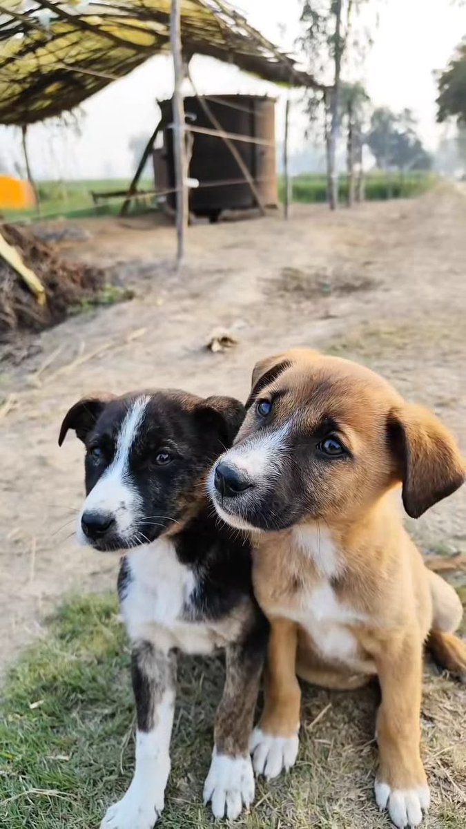 Dursun Uzun/Gazeteci-Yazar /Danışman tweet media