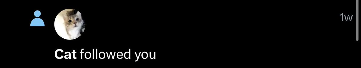 The Flamingo tweet media