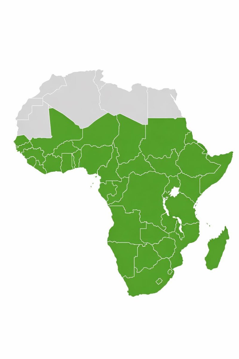 HistoireDuCameroun🇨🇲 tweet media