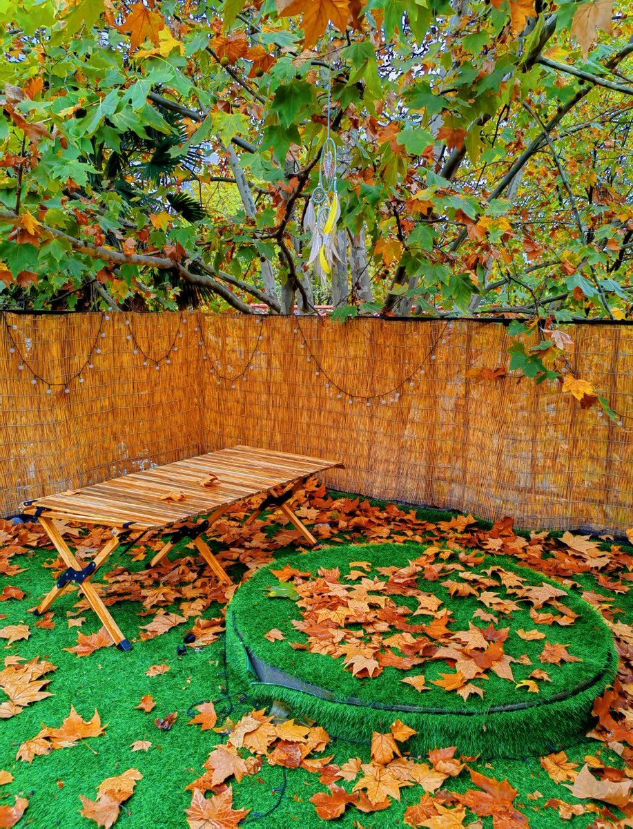 Official E67 tweet media