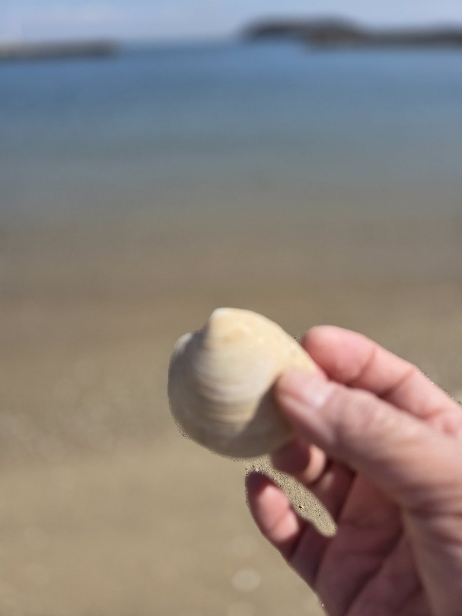 Mari 50s tweet media