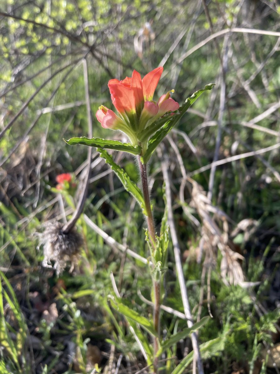 OldFoundWeatherNerd tweet media