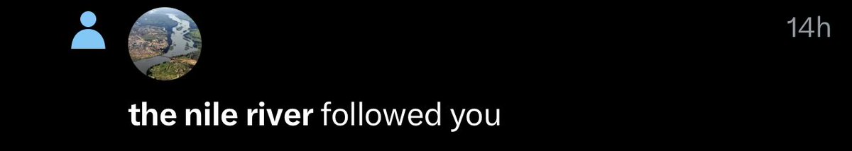 The Flamingo tweet media