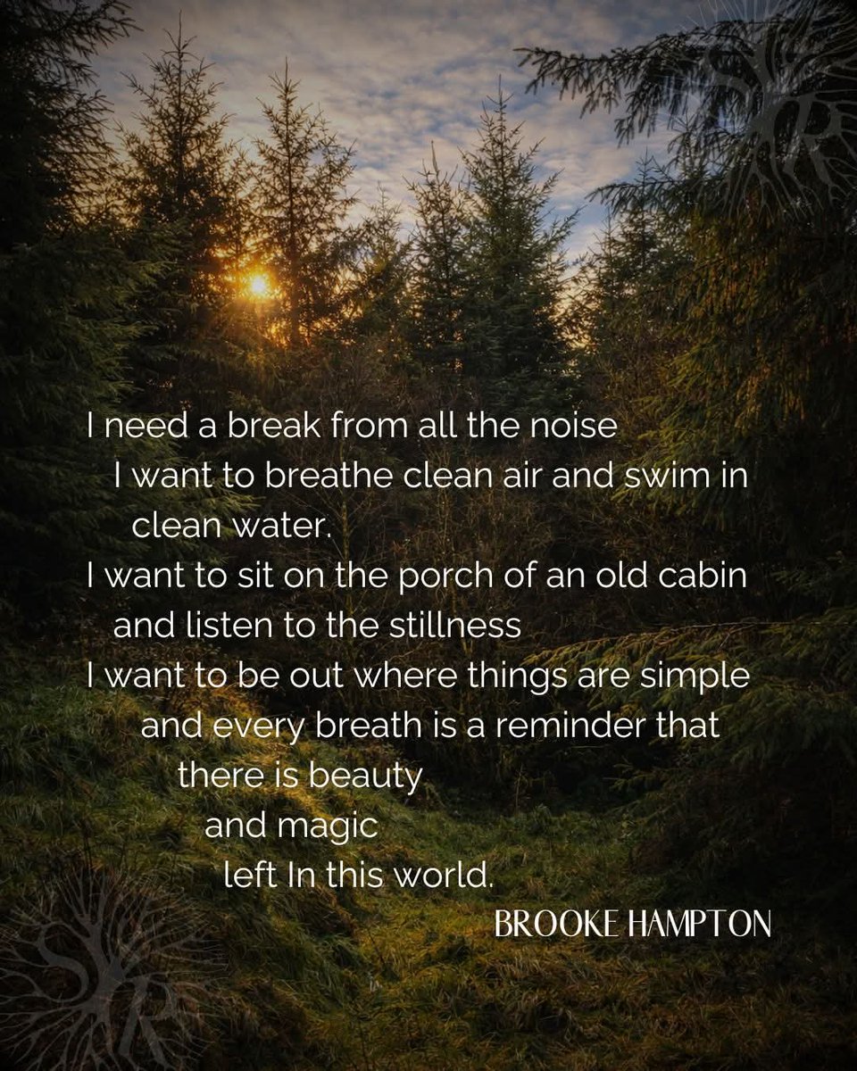 Iris Donell tweet media