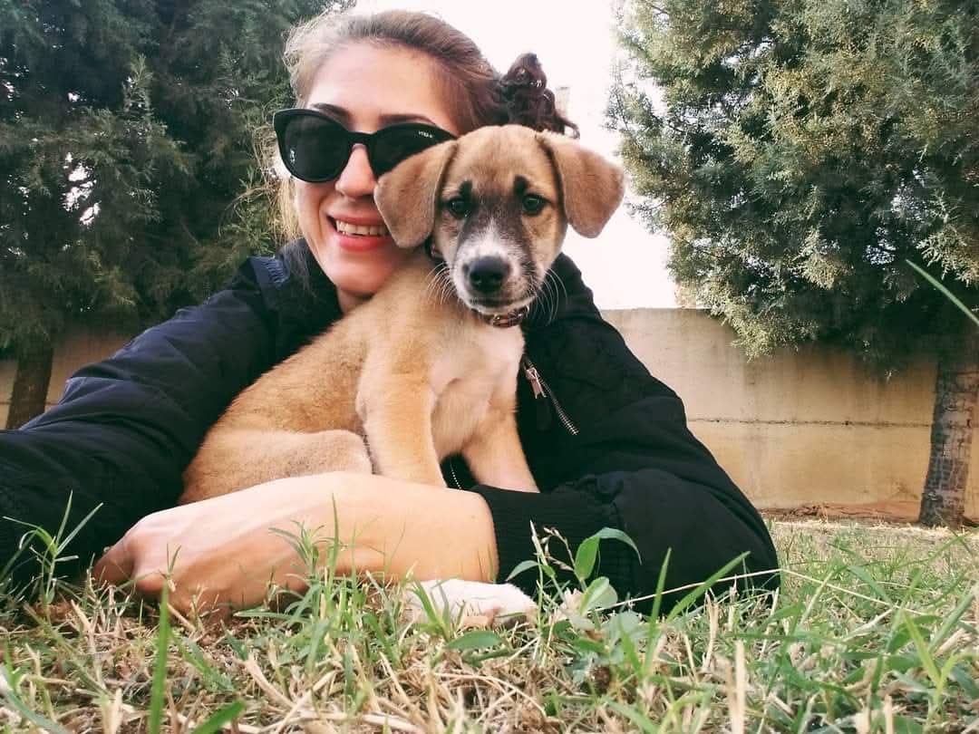 Dilan Oktay tweet media