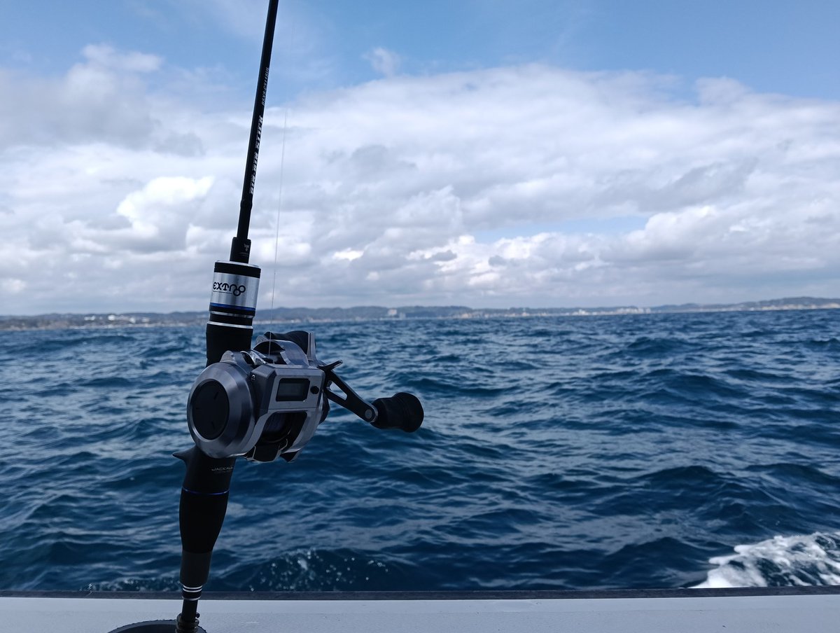 locusta_cw tweet media