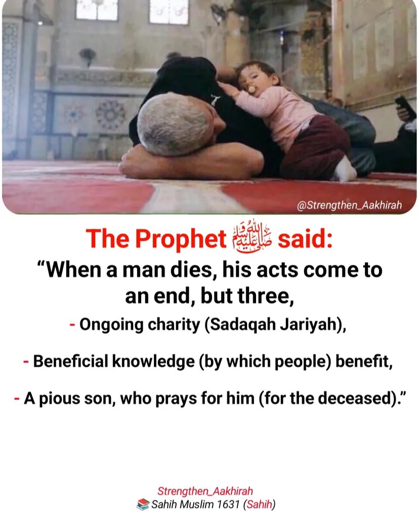 Fatima sabs💞 tweet media