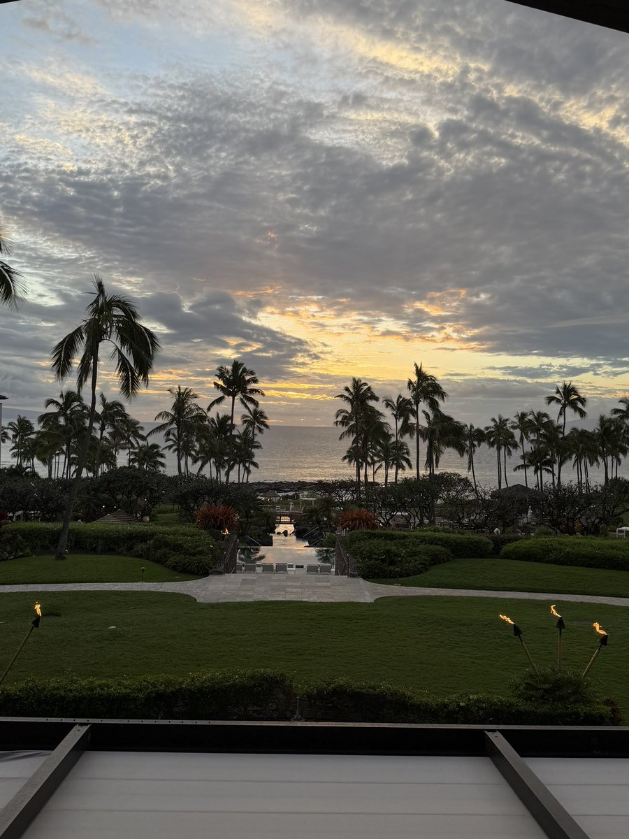 trey wingo tweet media