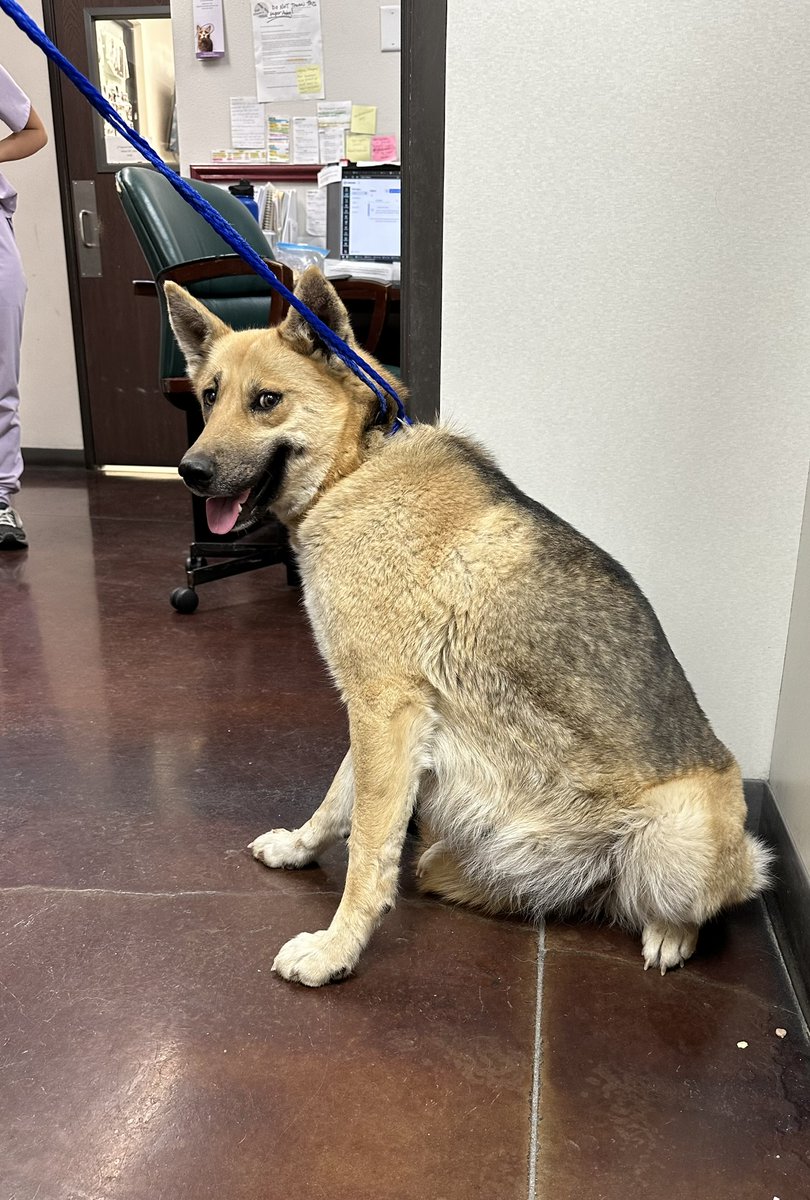 Mike Ryan tweet media