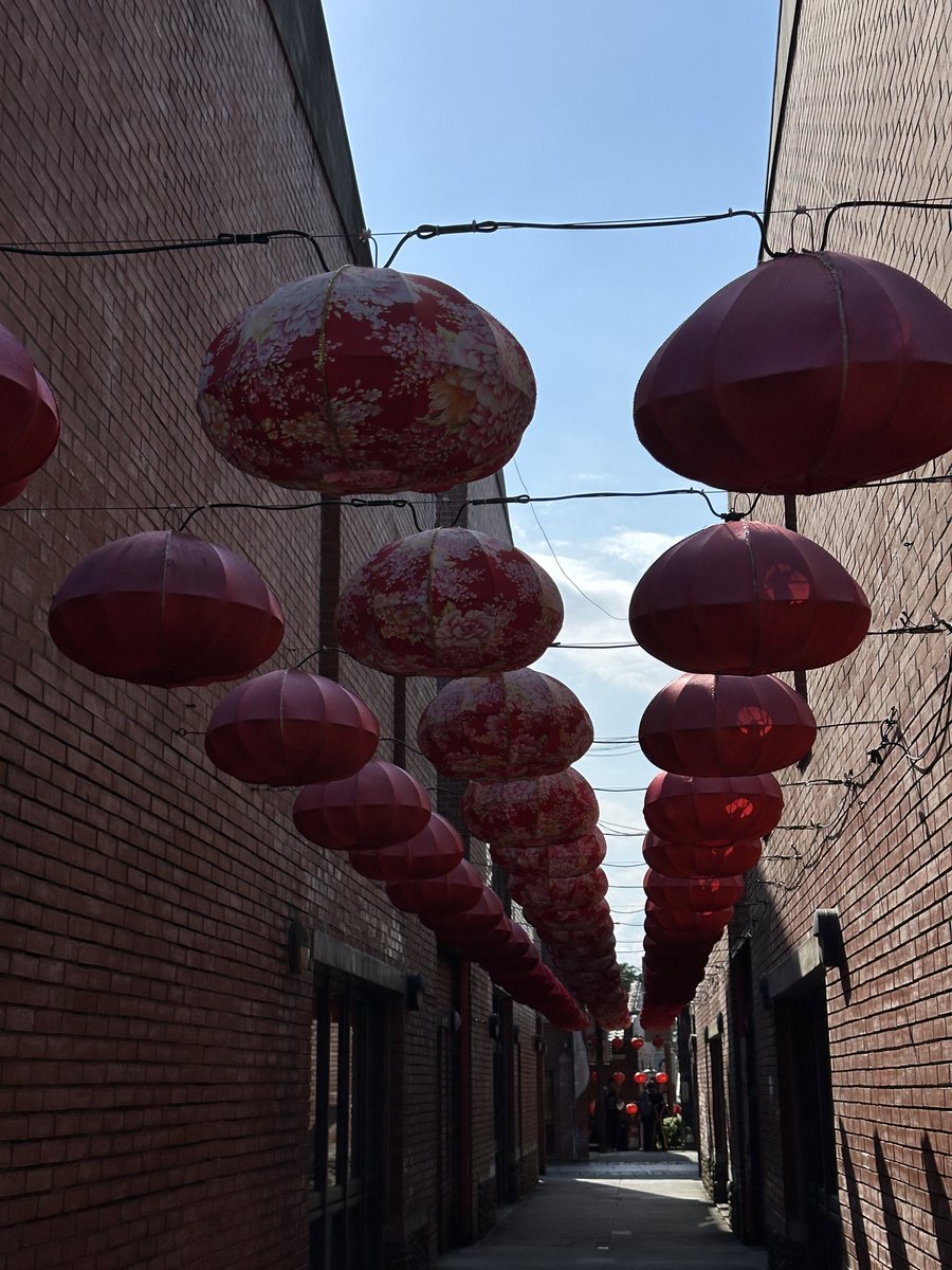 無聊男子🏕⛰🌿 tweet media