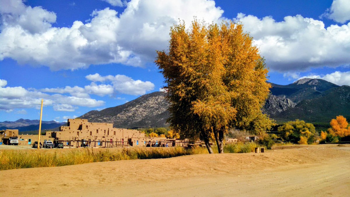 Loralee Logan 🌻🌻🌻 tweet media