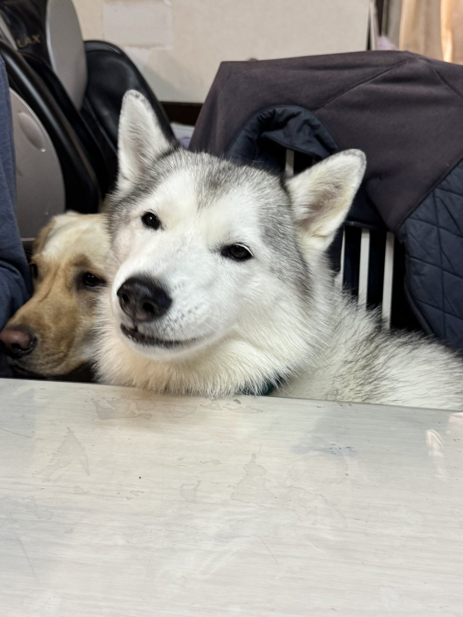 おこめつぶ tweet media