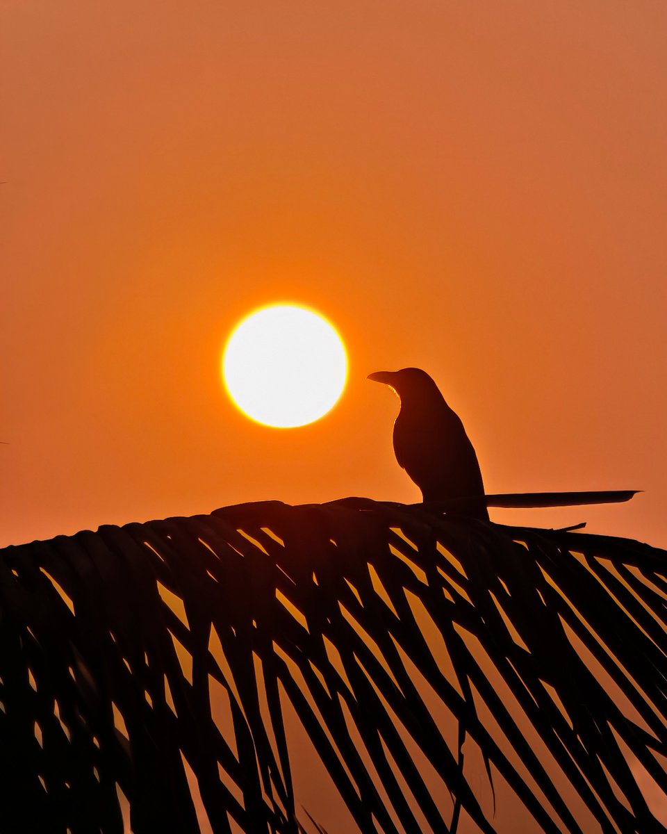 Praveen_Lawrance tweet media