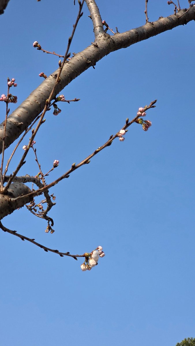 뷰티풀코리아 tweet media