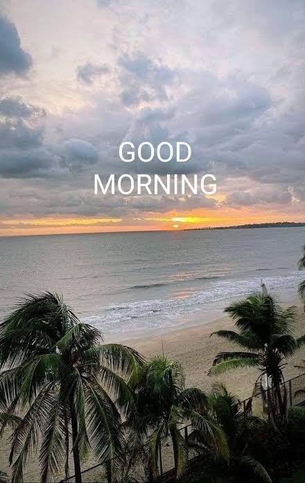 Bosky 🦍 tweet media