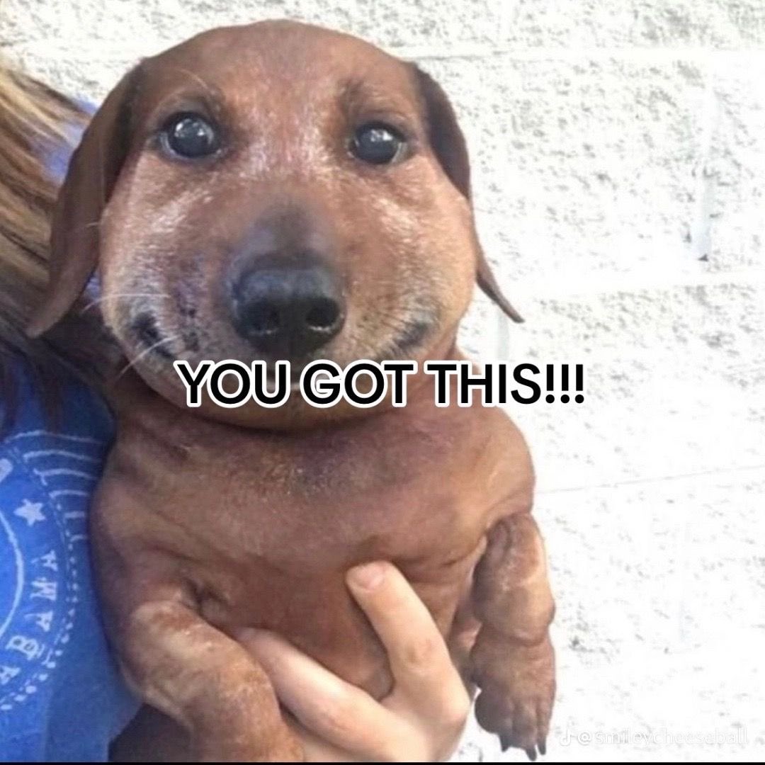 reaction pics & vids tweet media